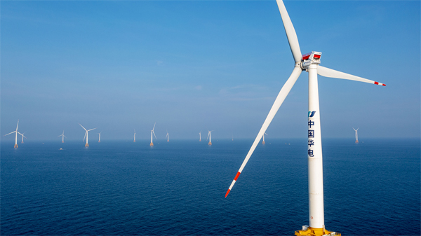 華電陽江青洲三海上風電項目已建成投產。受訪者供圖