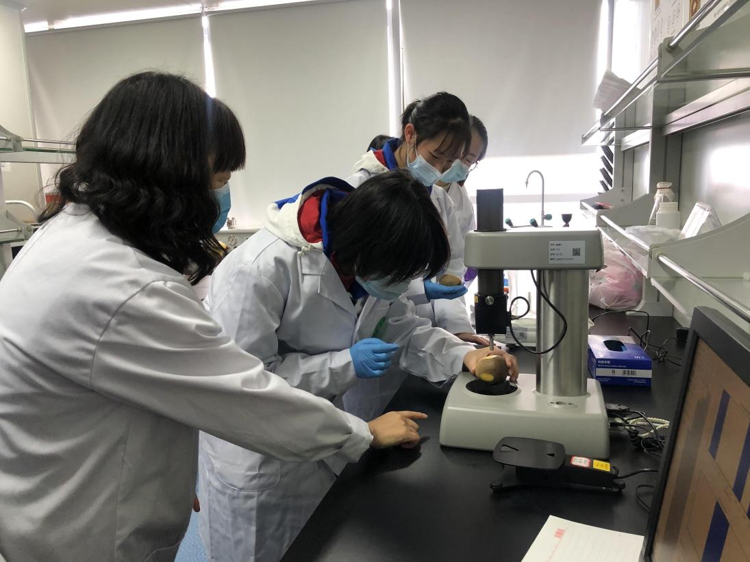 中國—新西蘭獼猴桃“一帶一路”聯合實驗室。四川省自然資源科學研究院供圖
