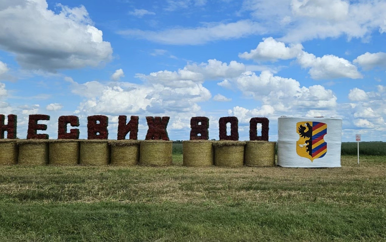 白俄罗斯农民搭建干草捆庆祝丰收。人民网记者 王震摄
