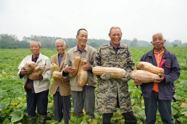 屈家岭种植户展示今年收获的南瓜。人民网记者 王天乐摄