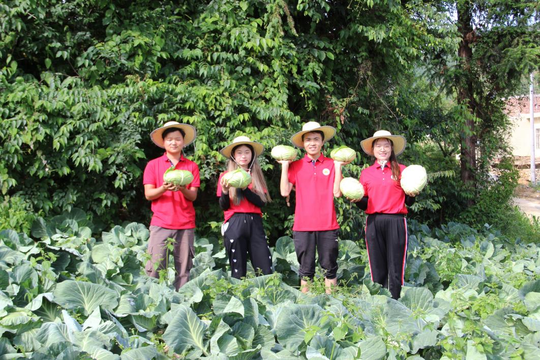 扎根龍鳳科技小院的學生們在“泥土地”上喜獲豐收。受訪者供圖
