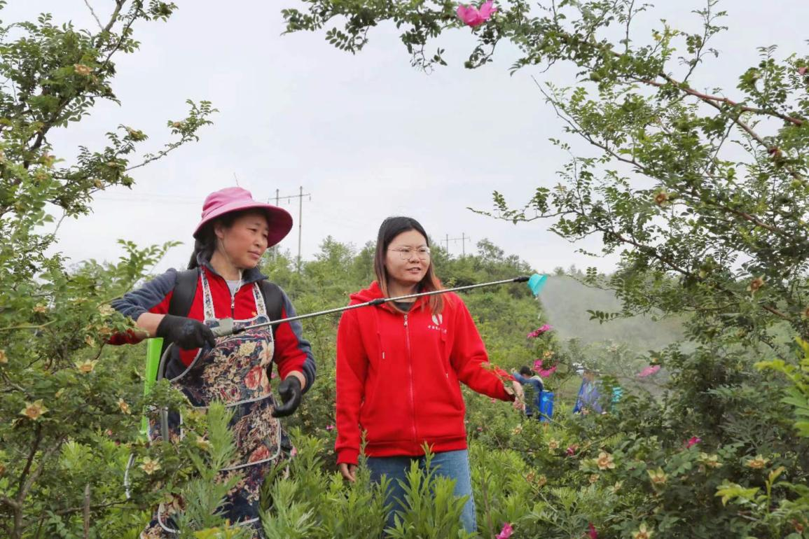 王永華（右一）向龍鳳村村民傳授噴洒農藥技術要領。受訪者供圖