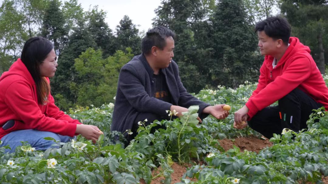 扎根龍鳳科技小院的中國農業大學學生在田間向路世江（中）傳授種植技術。受訪者供圖