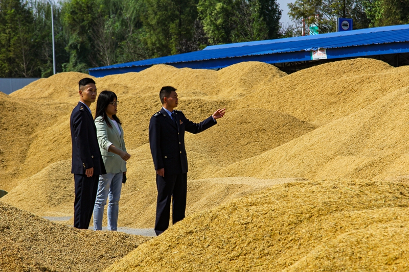 金秋丰收时节,益阳税务干部走进南县金之香稻虾米生产基地提供涉税服务。国家税务总局益阳市税务局供图 彭瑞中 摄