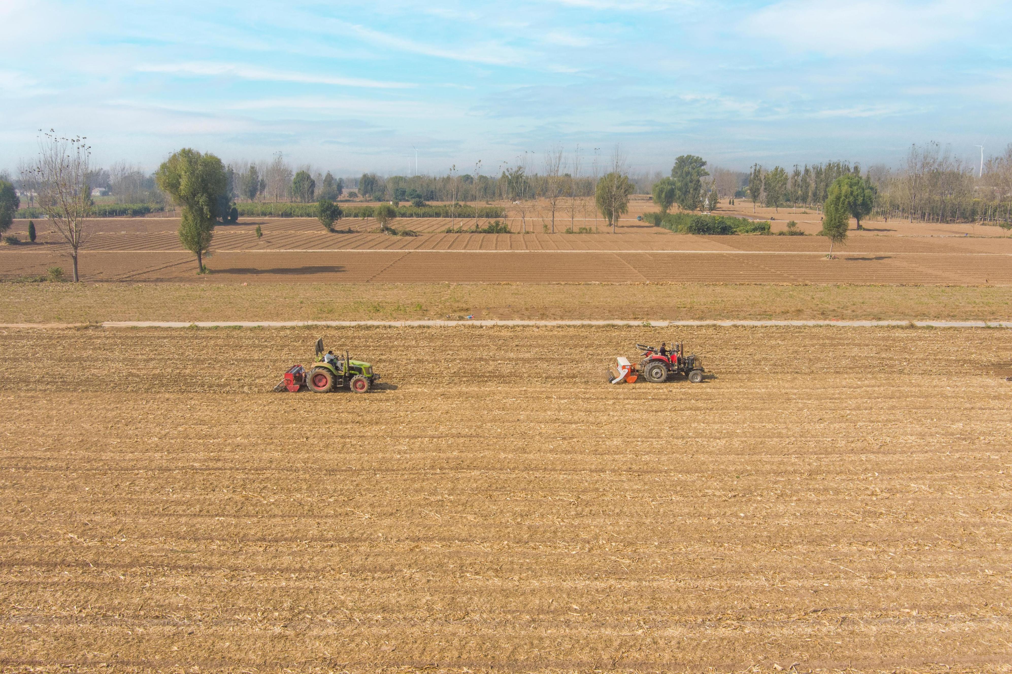 河南省安阳市内黄县农户翻整耕地，播种小麦。刘文英摄
