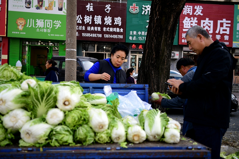 白山市民在选购白菜作为冬储菜,并开始腌制酸菜。国家税务总局白山市税务局供图 林俊宇摄
