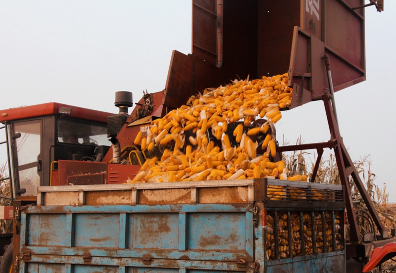 ����ʡ�»���������������ͥũ��������ϲ����ա�����˰���ֵܾ»���˰��ֹ�ͼ ���׻���