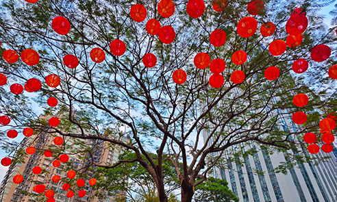 厦门：红红火火  年味渐浓
