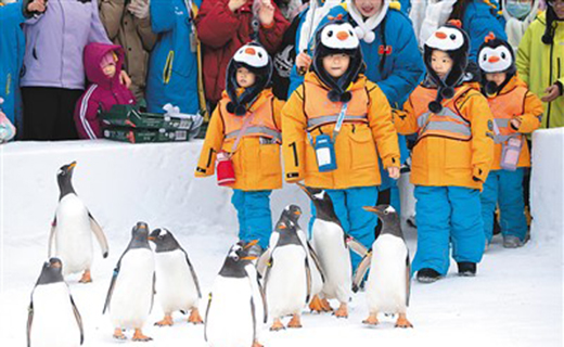冬季到哈尔滨来看雪