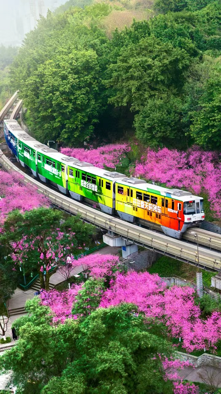 죬гڲͬĳн־֮䡣ܷ߹ͼ