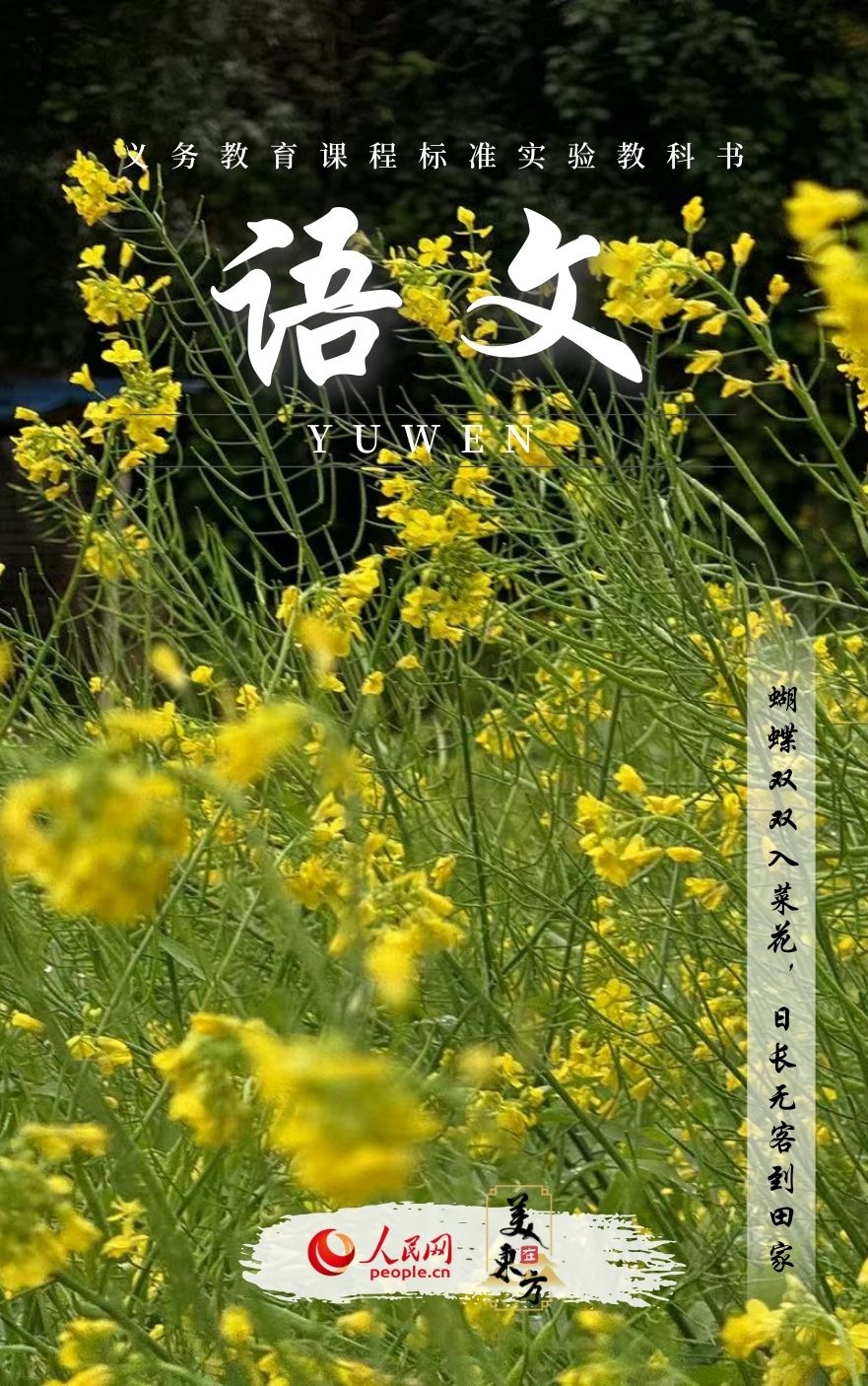 广西桂林油菜花海如金色地毯铺满大地。路径花林，约拍、在一片花海、平台上“赏花”搜索热度近一周环比上涨330％。</p><p style=