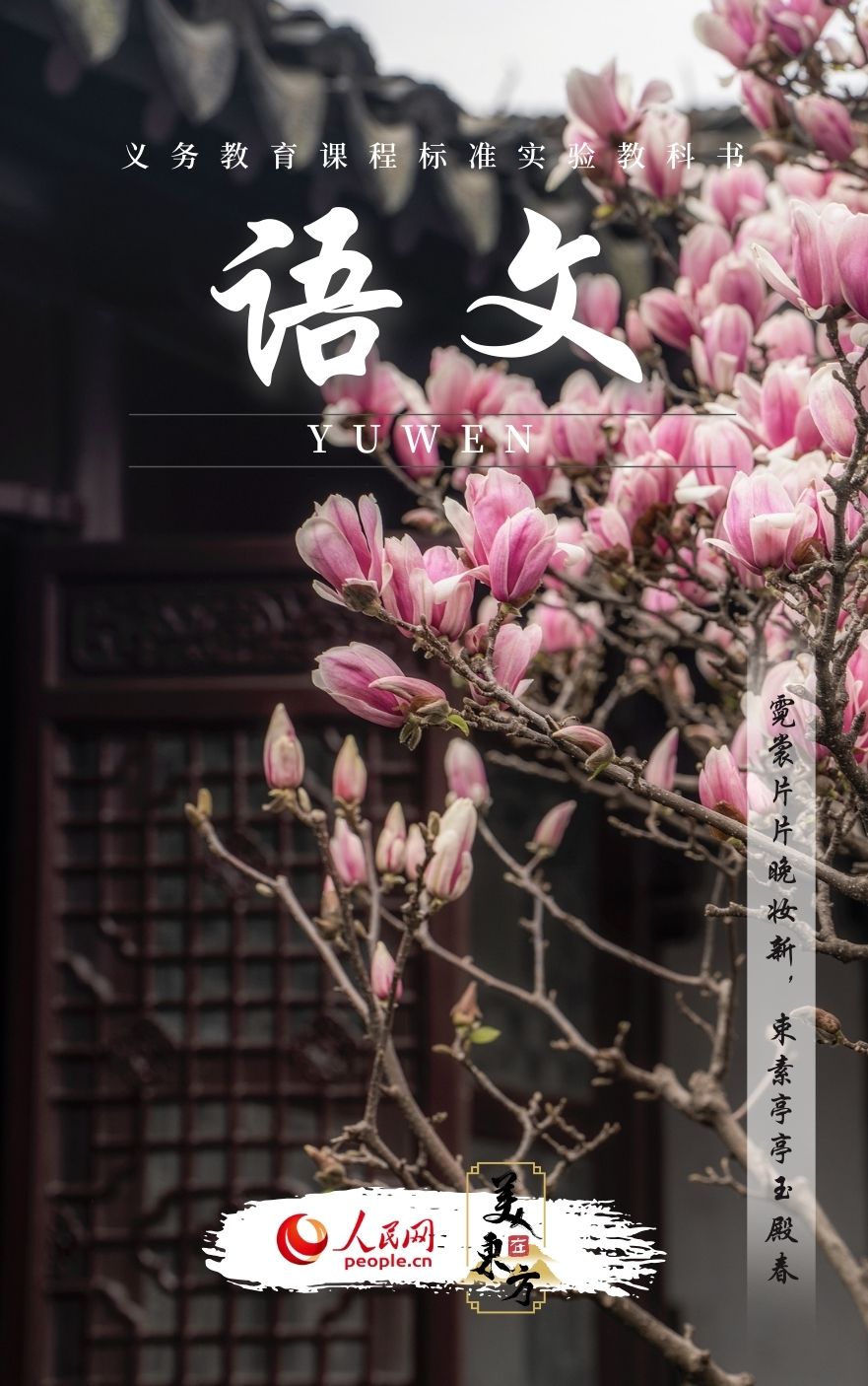 江蘇蘇州網師園玉蘭一樹繁花迎春來。