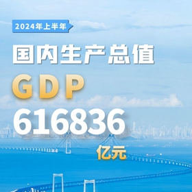 十组数据速览2024年经济半年报