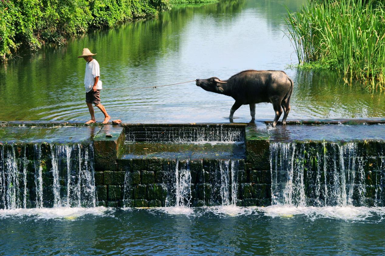 徽州堨壩。 水利部供圖