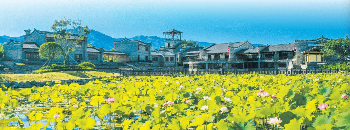 上津道荷塘 鐘建華攝