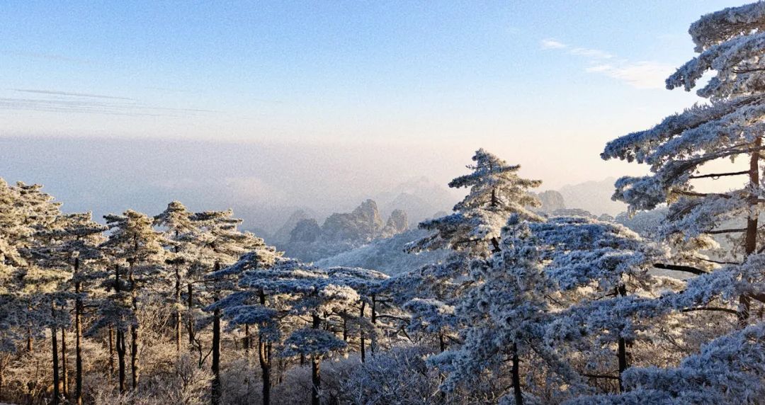 受強冷空氣影響，安徽黃山光明頂上出現大面積霧凇景觀。供圖單位：中國氣象局