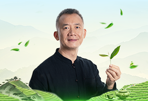 隆合茶业创始人杨丰