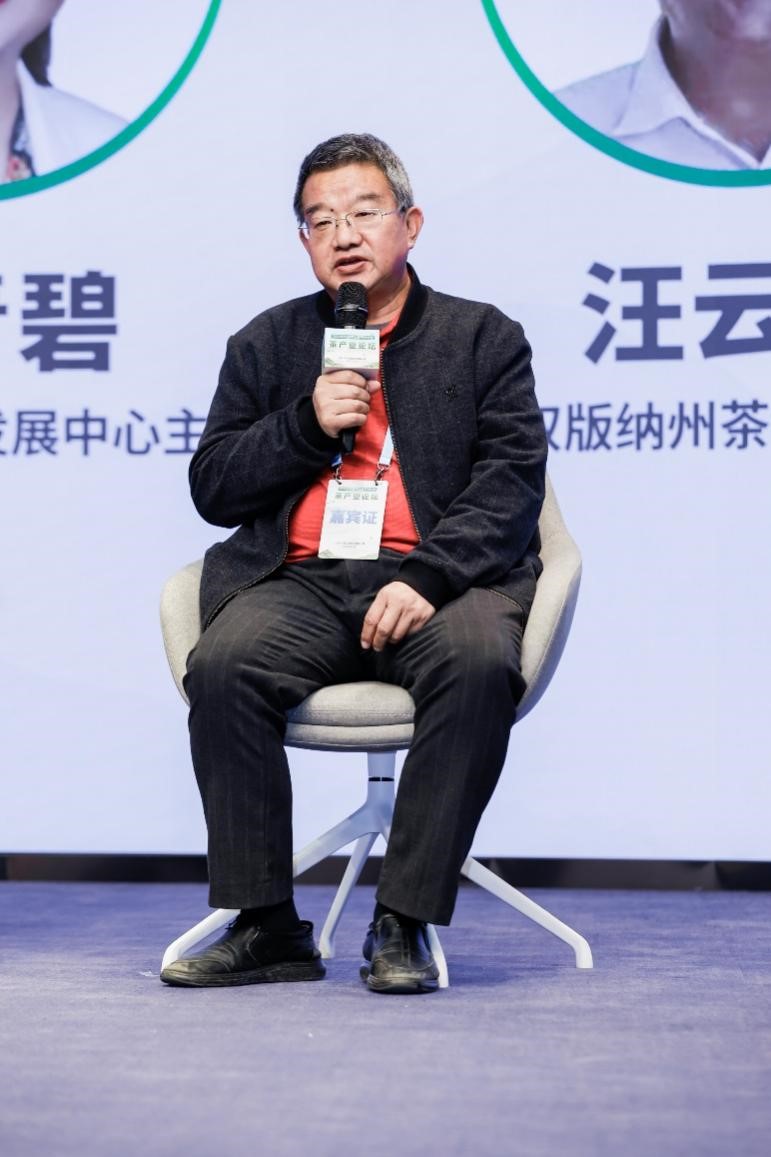 西双版纳州茶业协会会长汪云刚发言