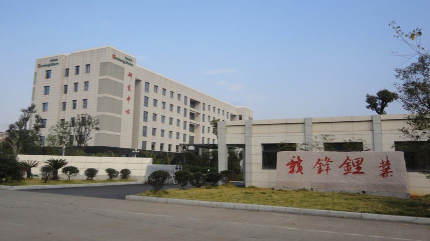 赣锋锂业锂电产业综合赋能平台