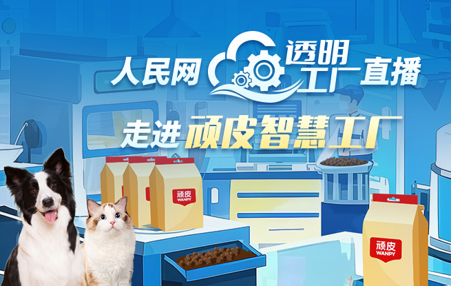人民网“透明工厂”走进顽皮智慧工厂