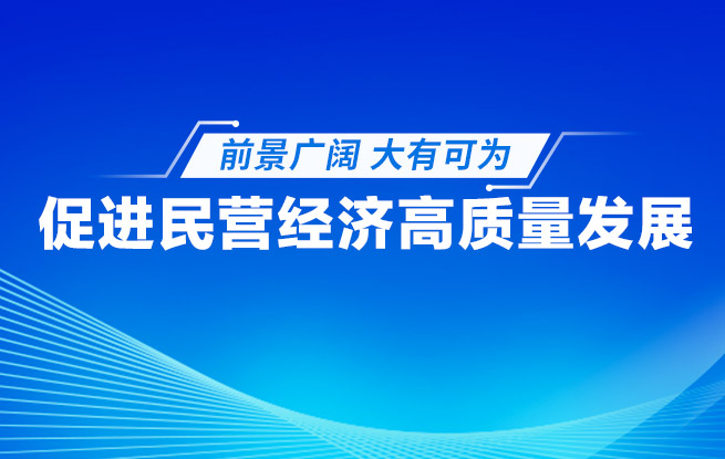 专题：促进民营经济高质量发展