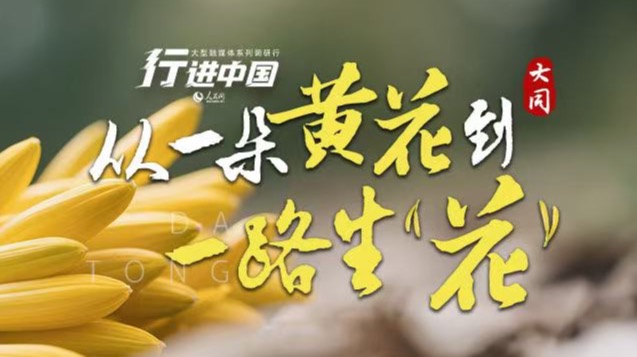 行進中國︱從一朵黃花到一路生“花”