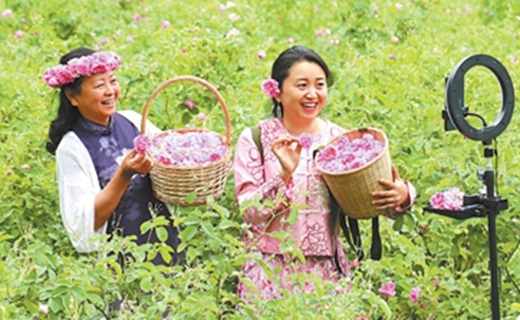 新视窗：改善条件，提升消费意愿