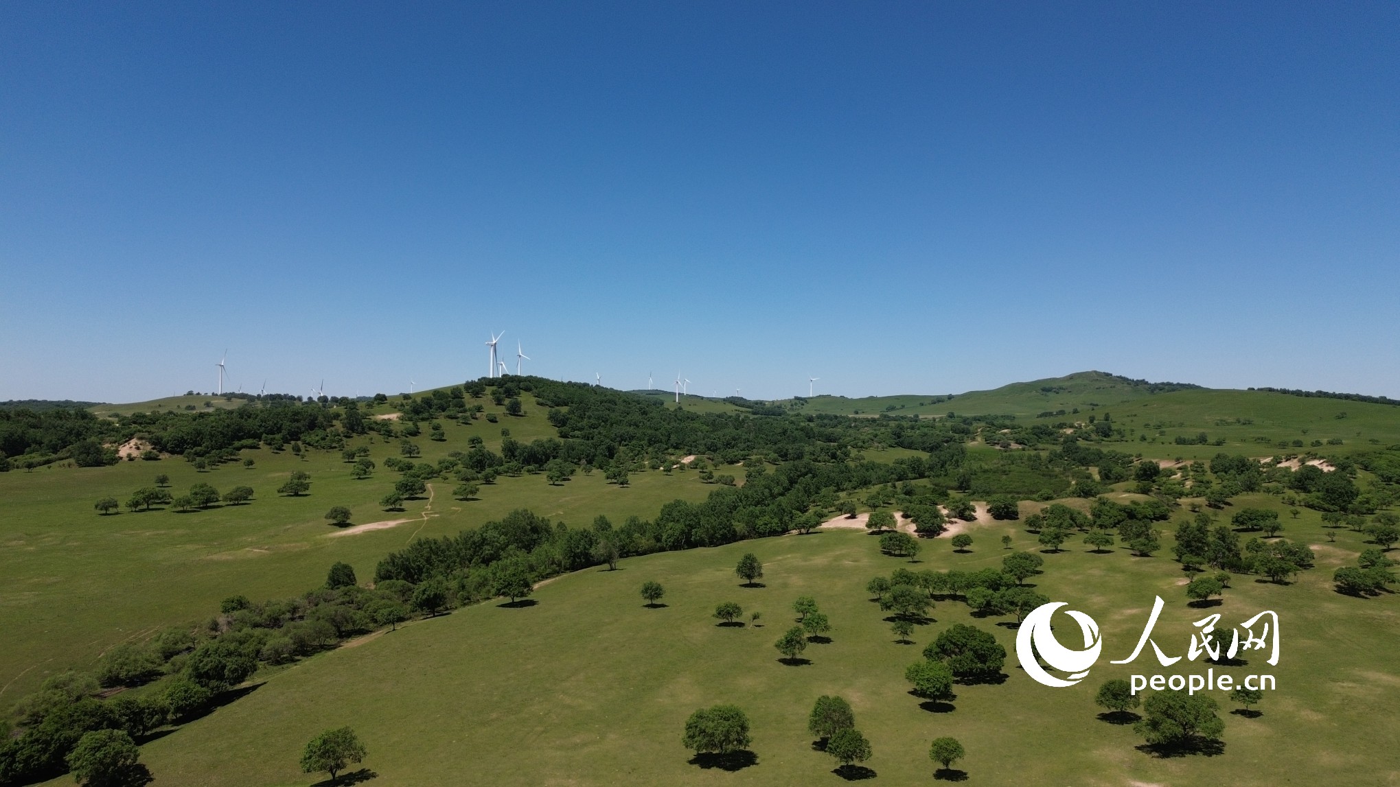 新能源風力發電機組與草原景觀。人民網記者 王天樂攝 