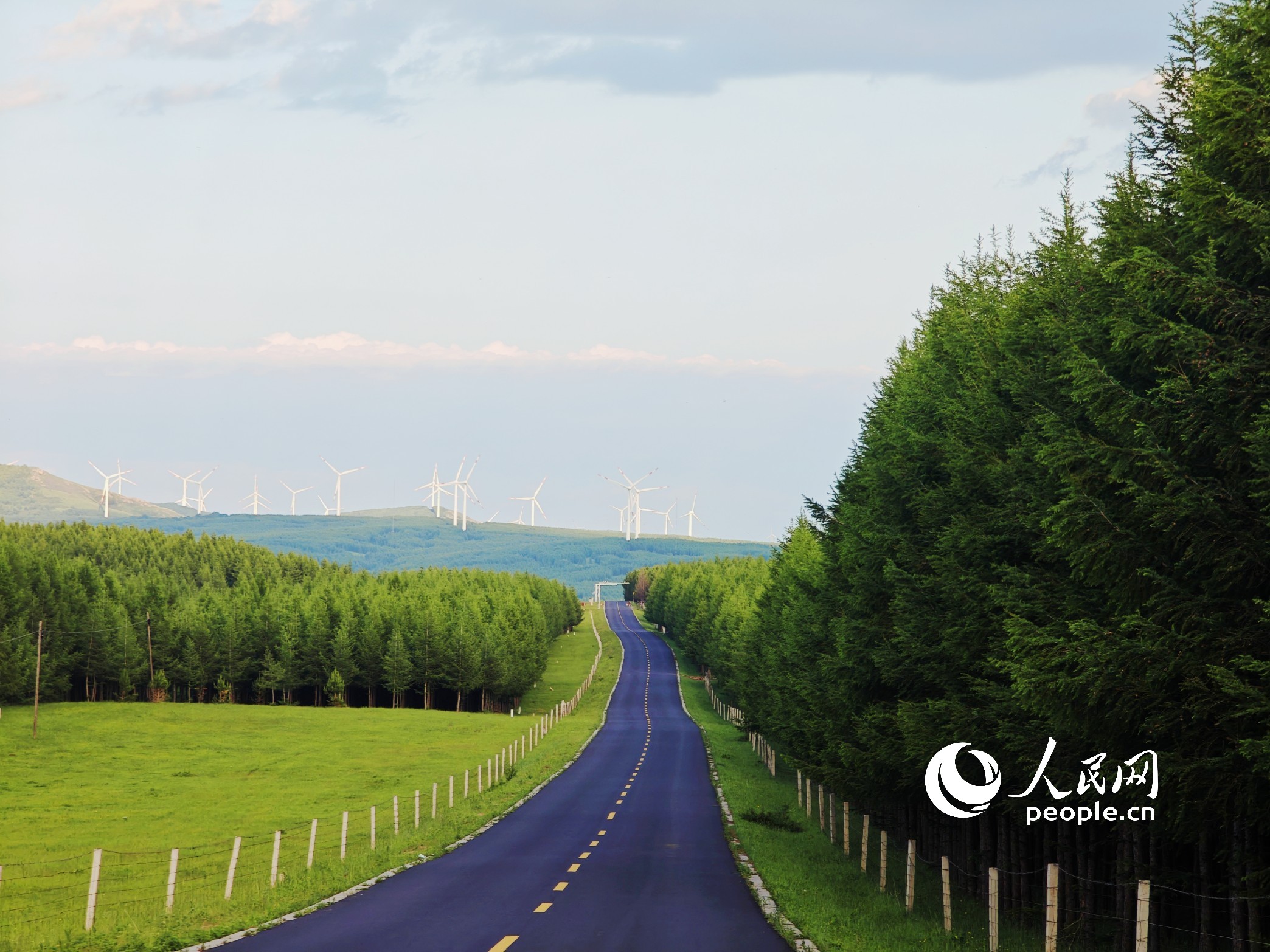 御道口草原森林風景區的道路。人民網記者 王天樂攝 
