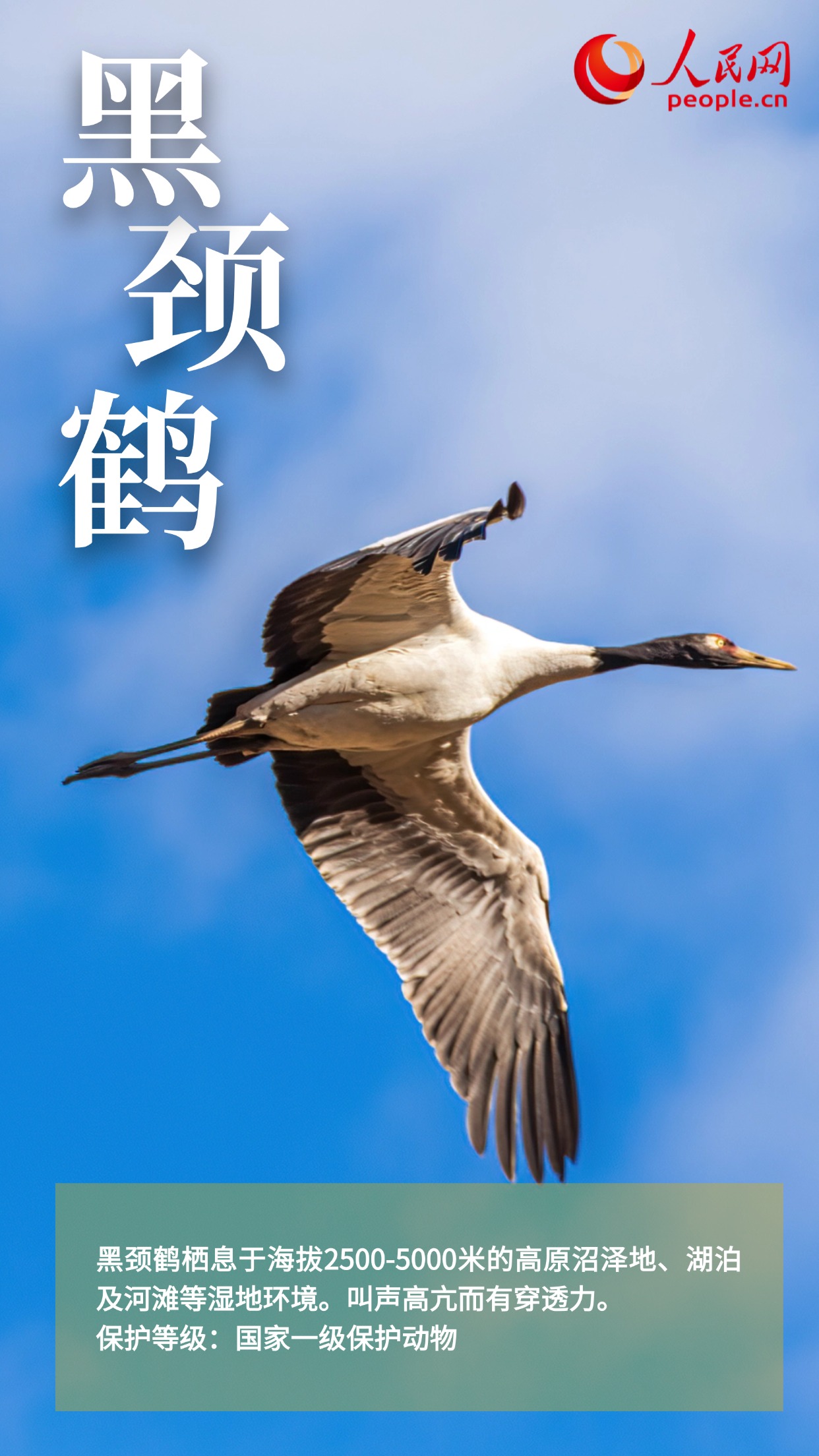 我国将迎来新一轮强降雨过程 水利部安排部署暴雨洪水防御工作