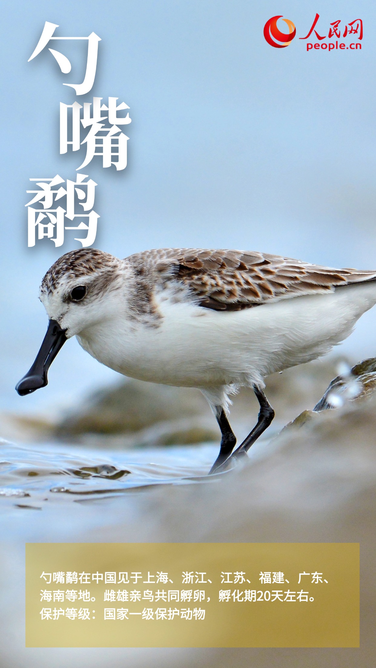 交易投研路演齐上阵 公募开启AI赋能新时代