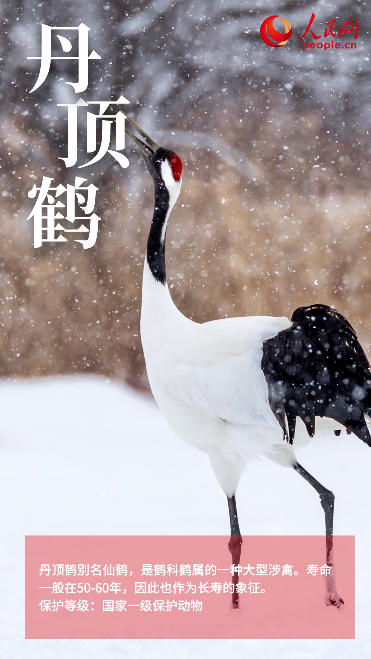 业界谈人工智能：与产业深度融合赋能千行百业