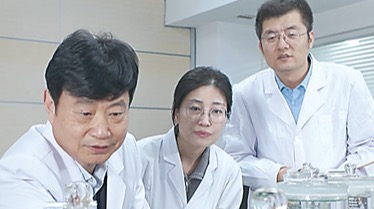 一粒新型复合肥的田间突围