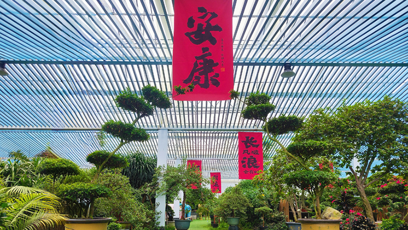 行进中国丨闽西小镇藏着“杜鹃花王国”