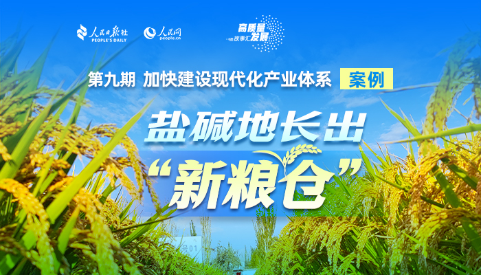 案例四
