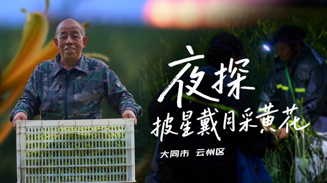 行进中国 | “花”式产业绽放沃野