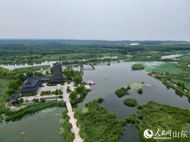 行进中国|山东东平:湖清岸绿绘新卷