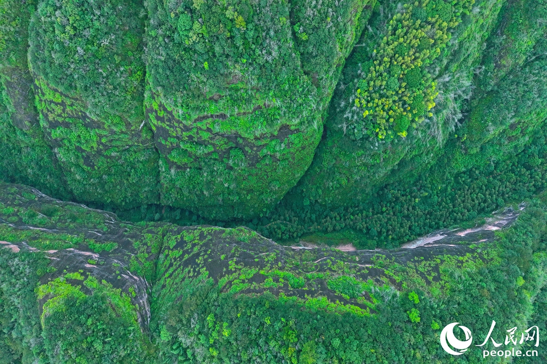 行进中国丨福建泰宁:“好生态”带来“好日子”