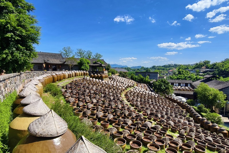 行进中国｜非遗酿“酱”香 文旅绘新卷
