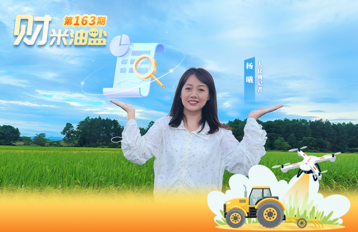 连年丰收! 实地揭秘1.4万亿斤粮食怎么“数”
