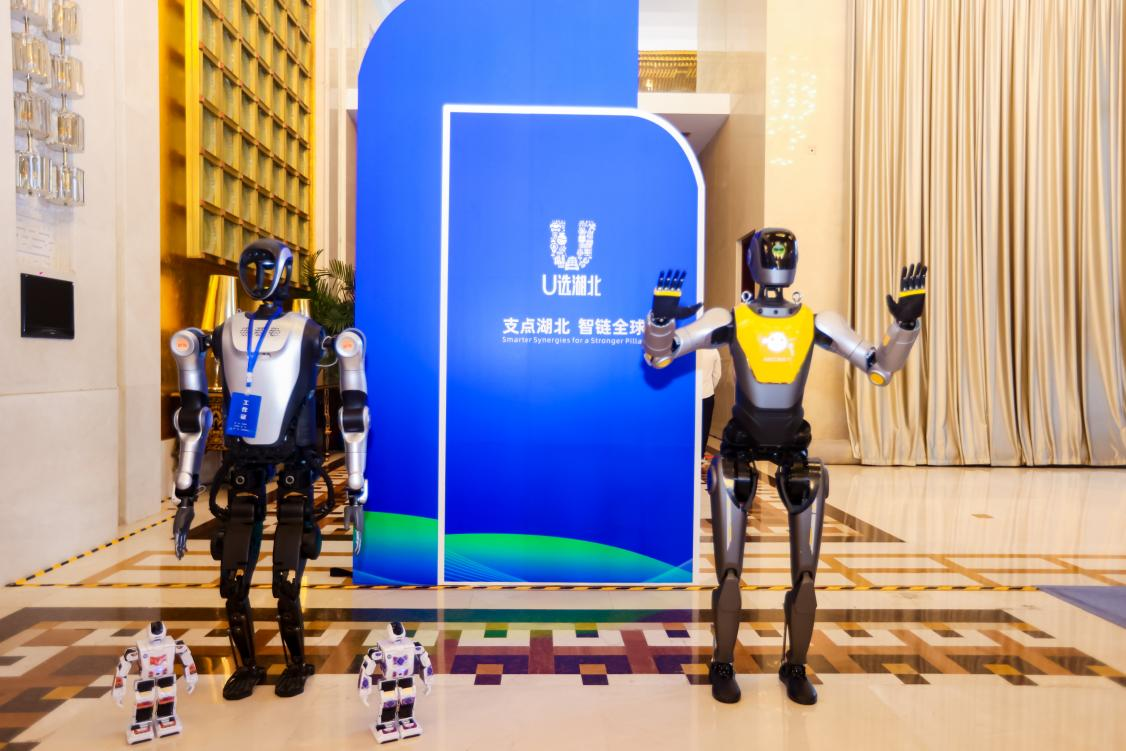 2025中国—北欧经贸合作论坛展区。主办方供图