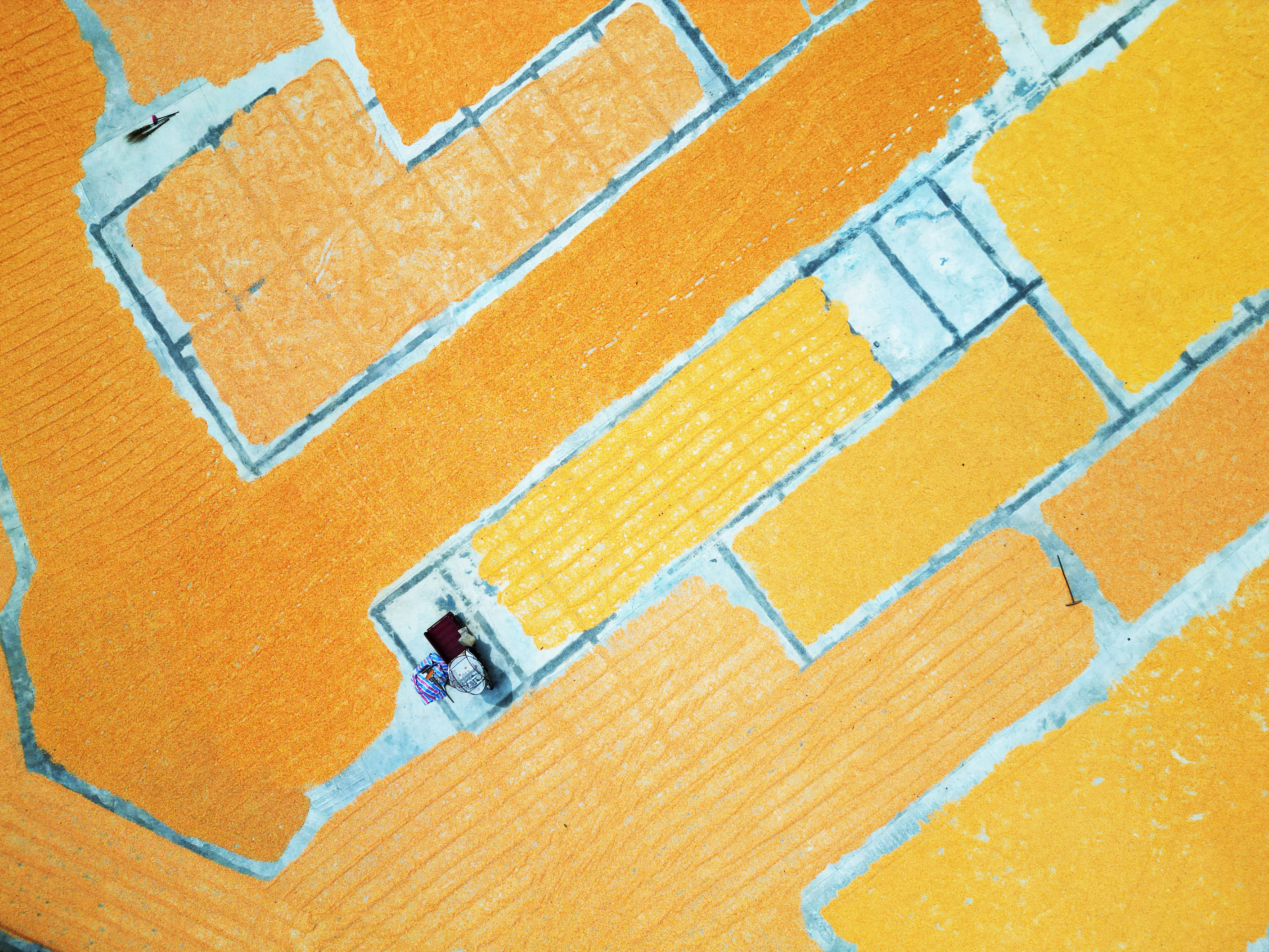 贵州黔西：丰收季节晒秋忙