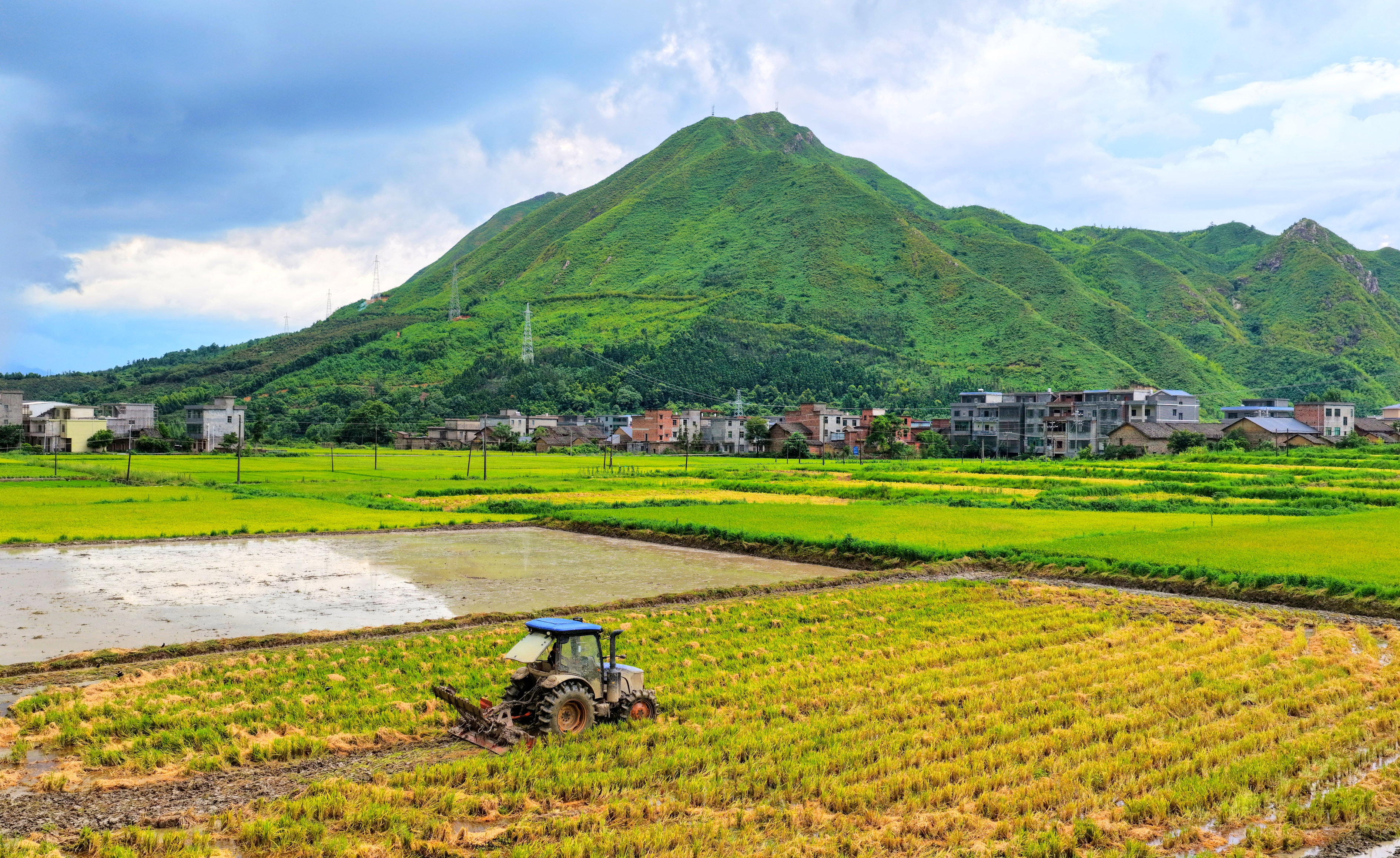 湖南常宁：大暑农事忙
