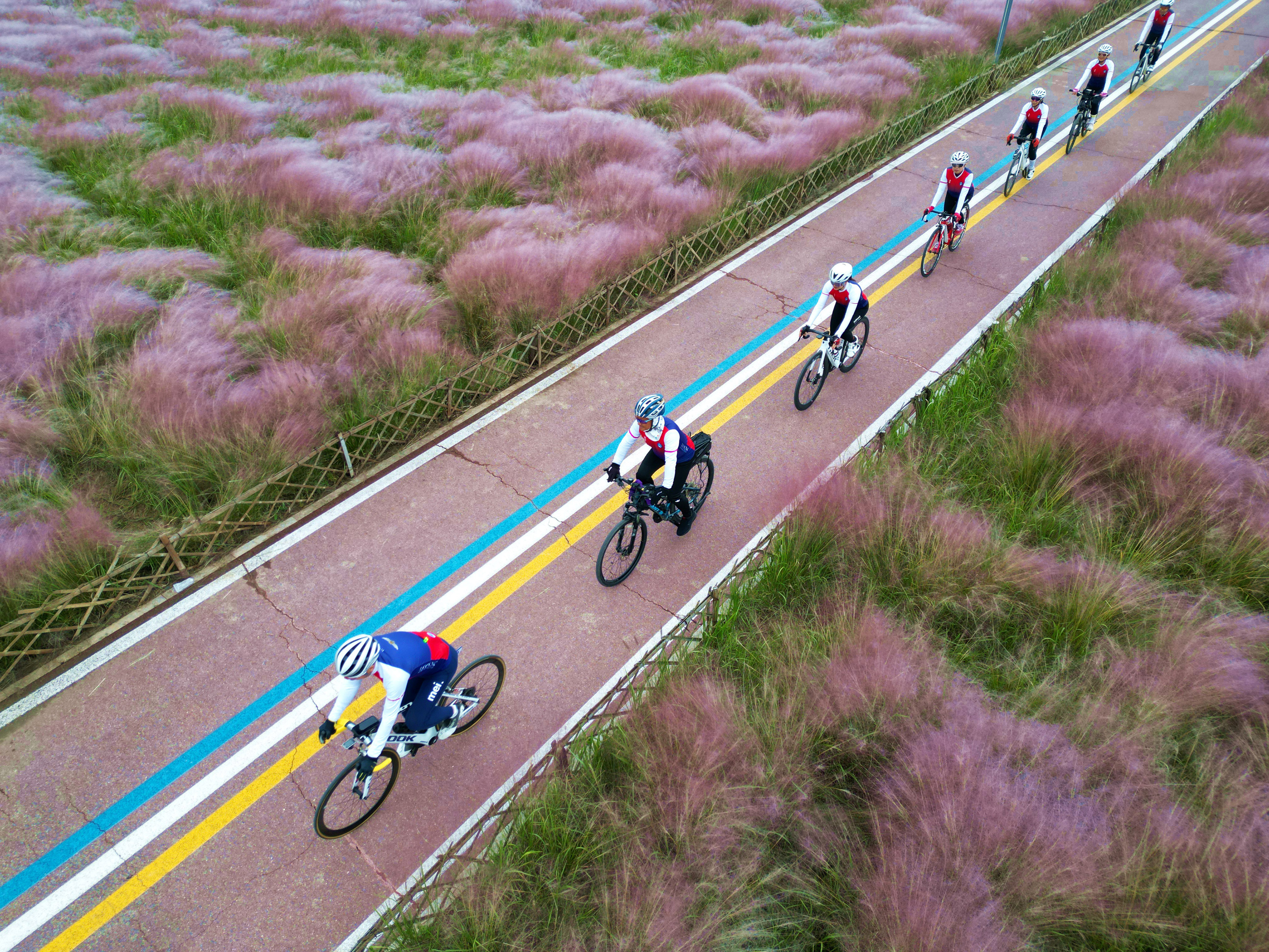 山东东营：绿色低碳 快乐骑行