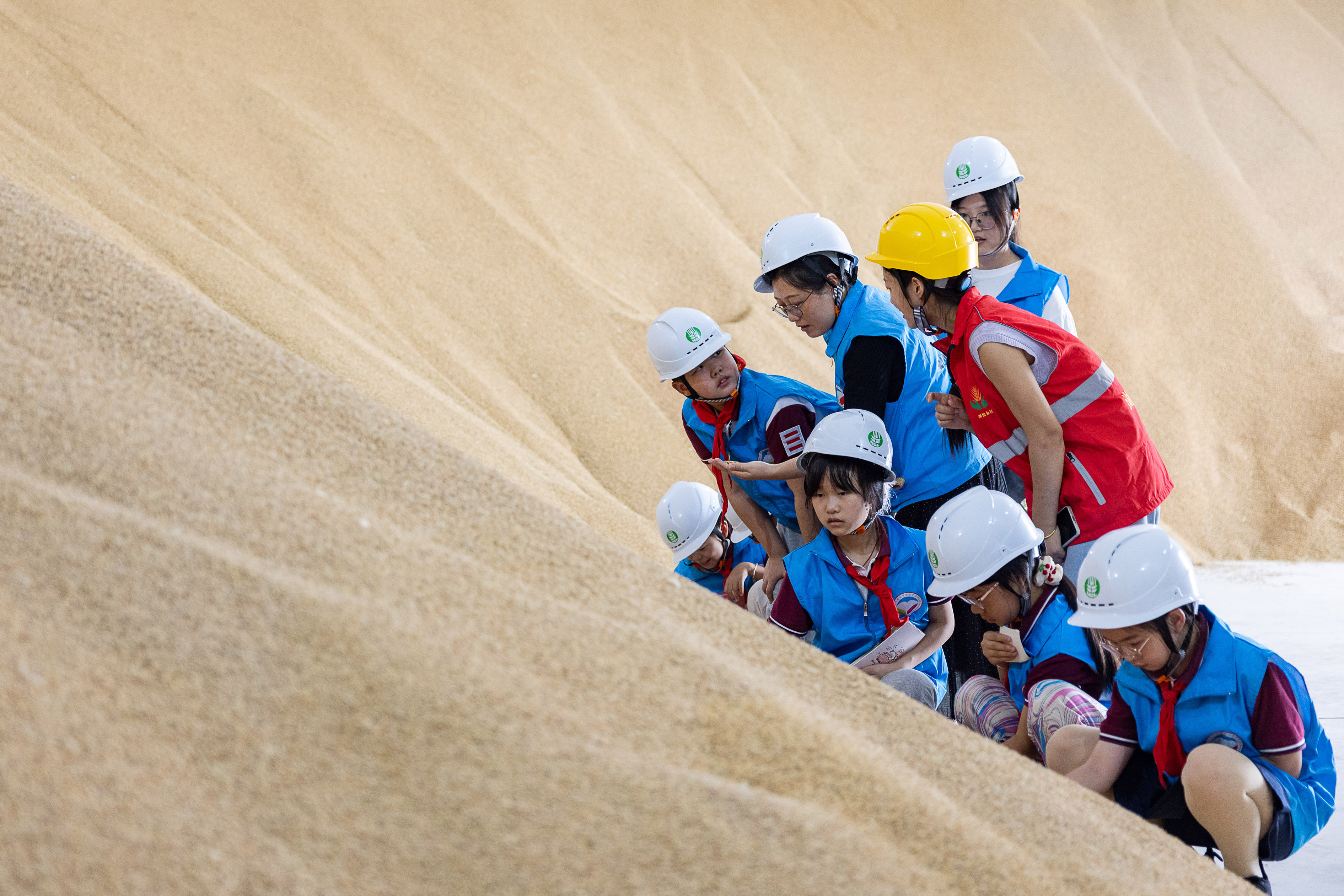 浙江湖州：小学生粮库参观研学