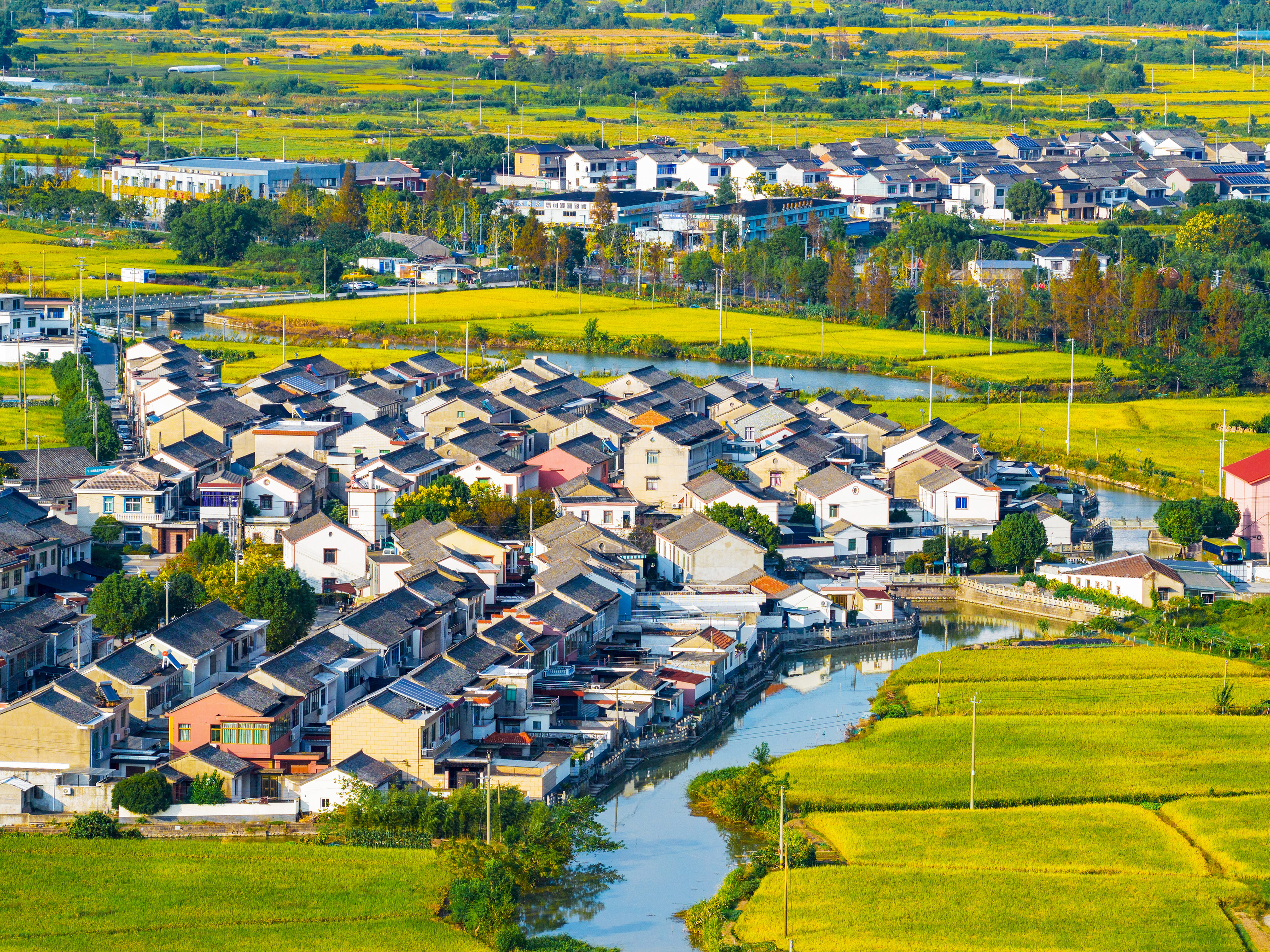 浙江宁波：金秋田园“丰”景美