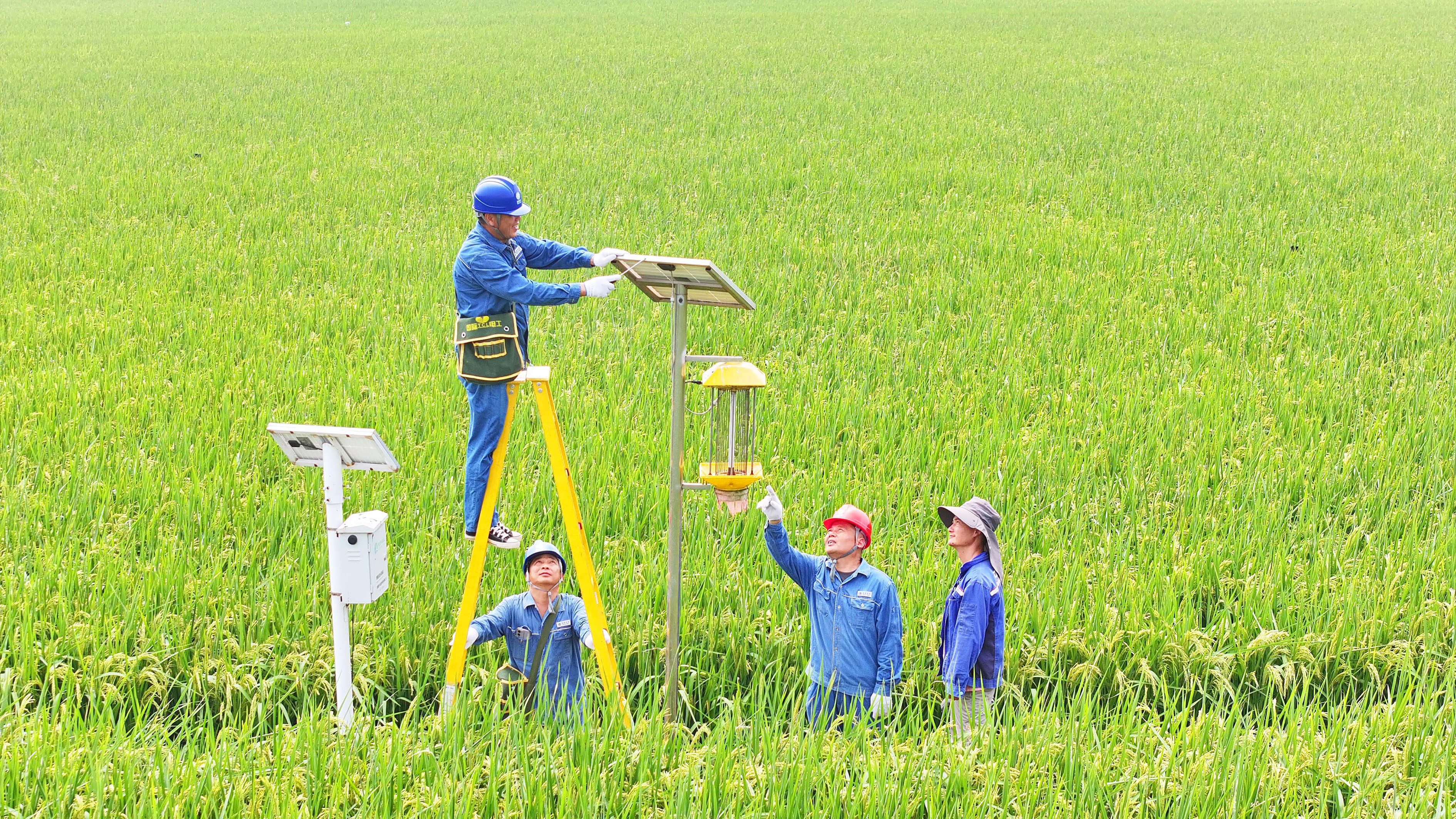 安徽滁州：科技赋能助力农业生产