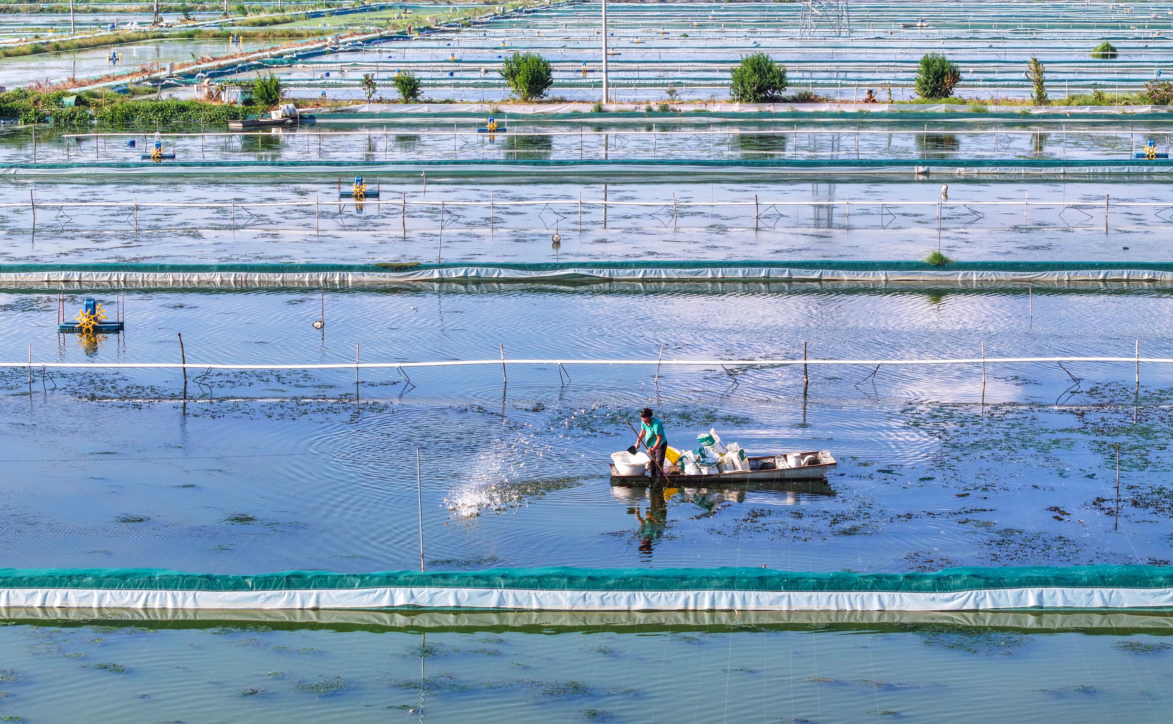 江苏泗洪：生态养殖智能化