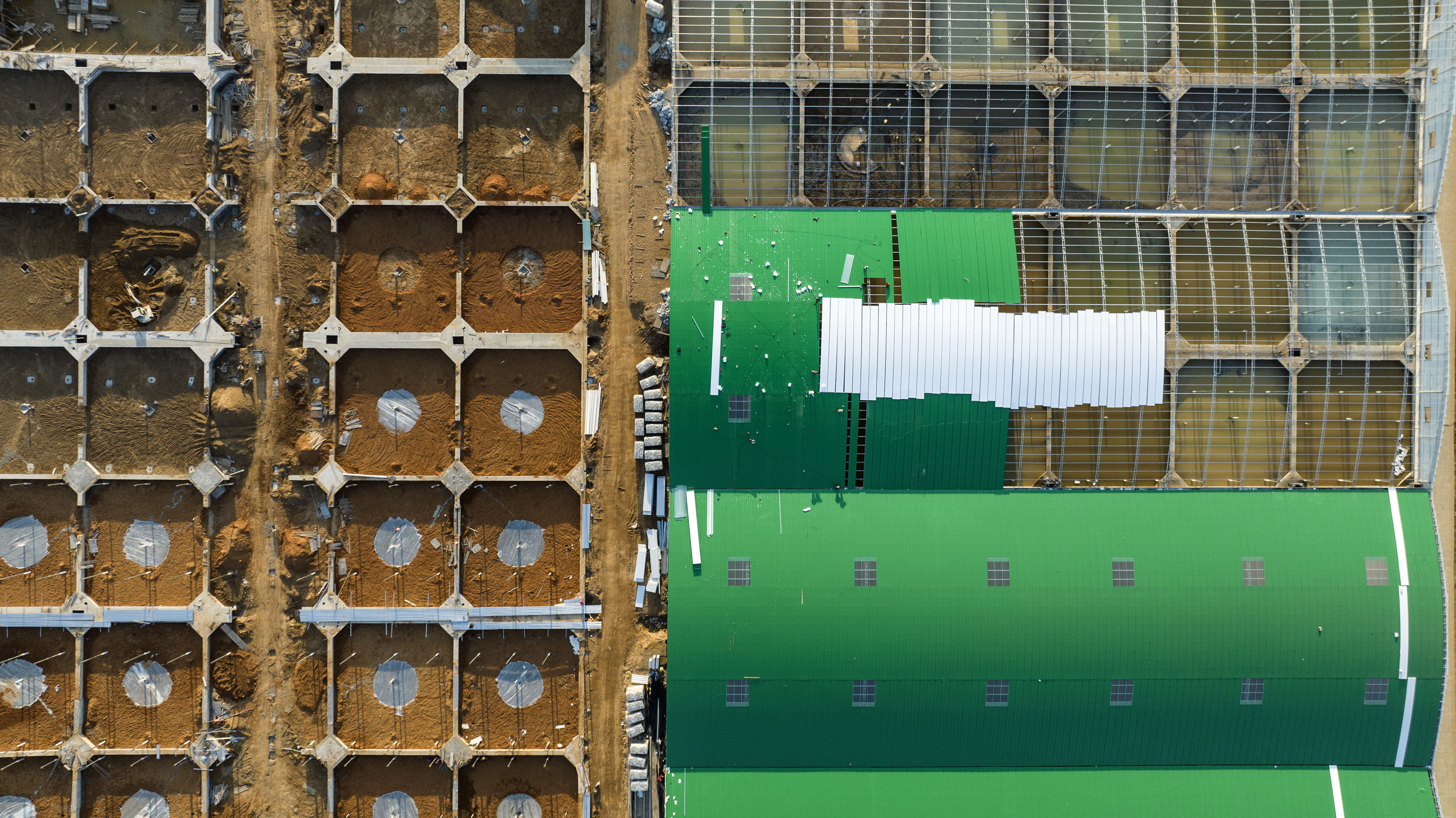 江西新干：项目带动赋能产业发展