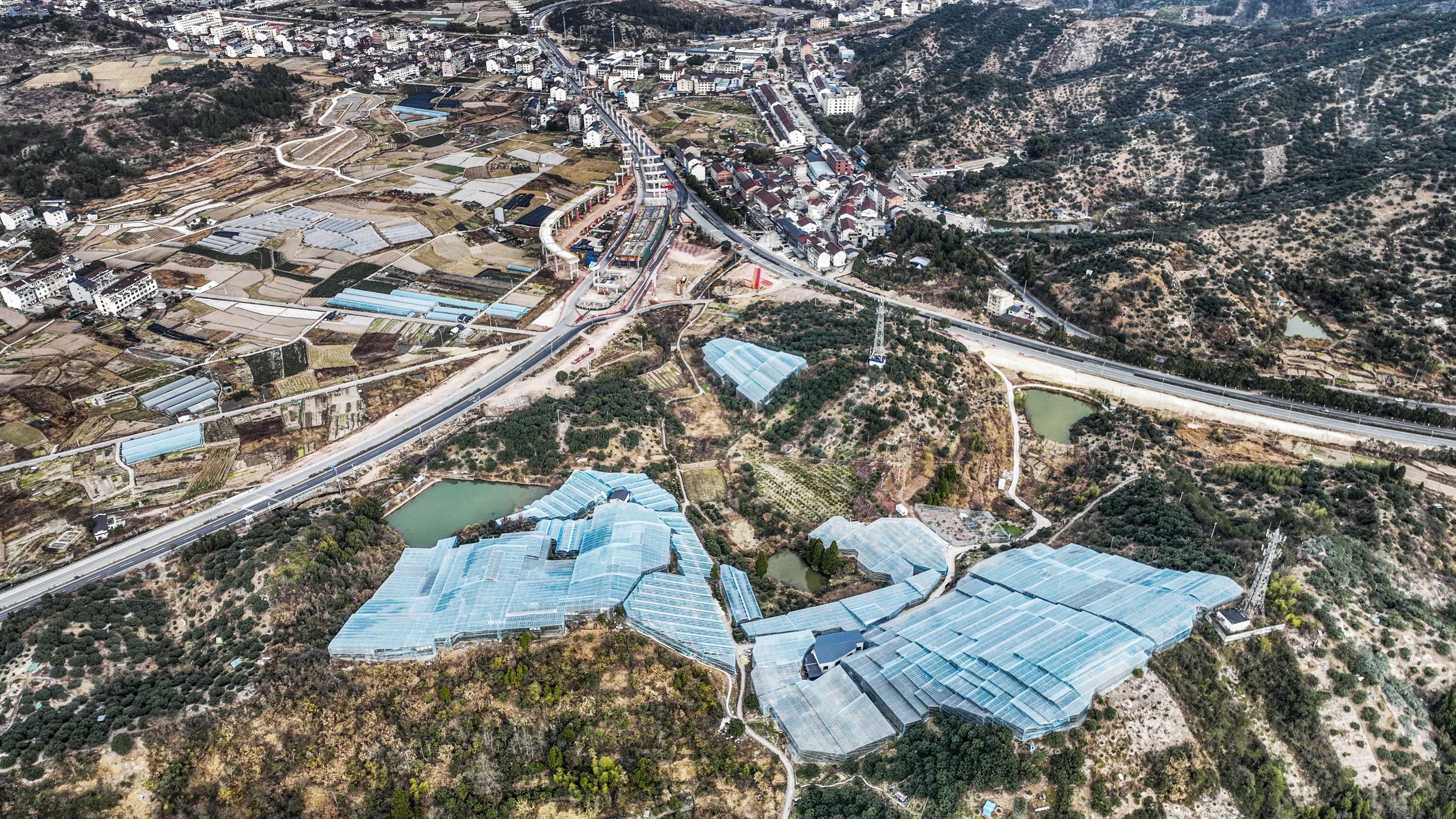 浙江仙居：杨梅“住上”数字化智能大棚